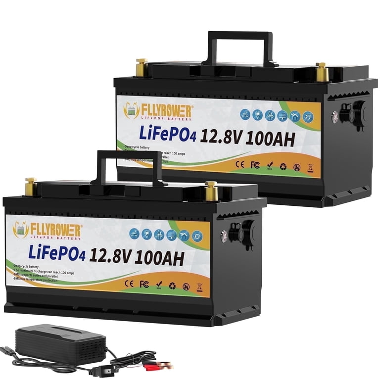 1207 12V 100Ah LiFePO4バッテリー スマートBMS キャンプ