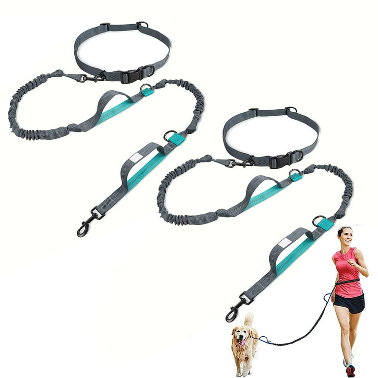 Durable leash 2024