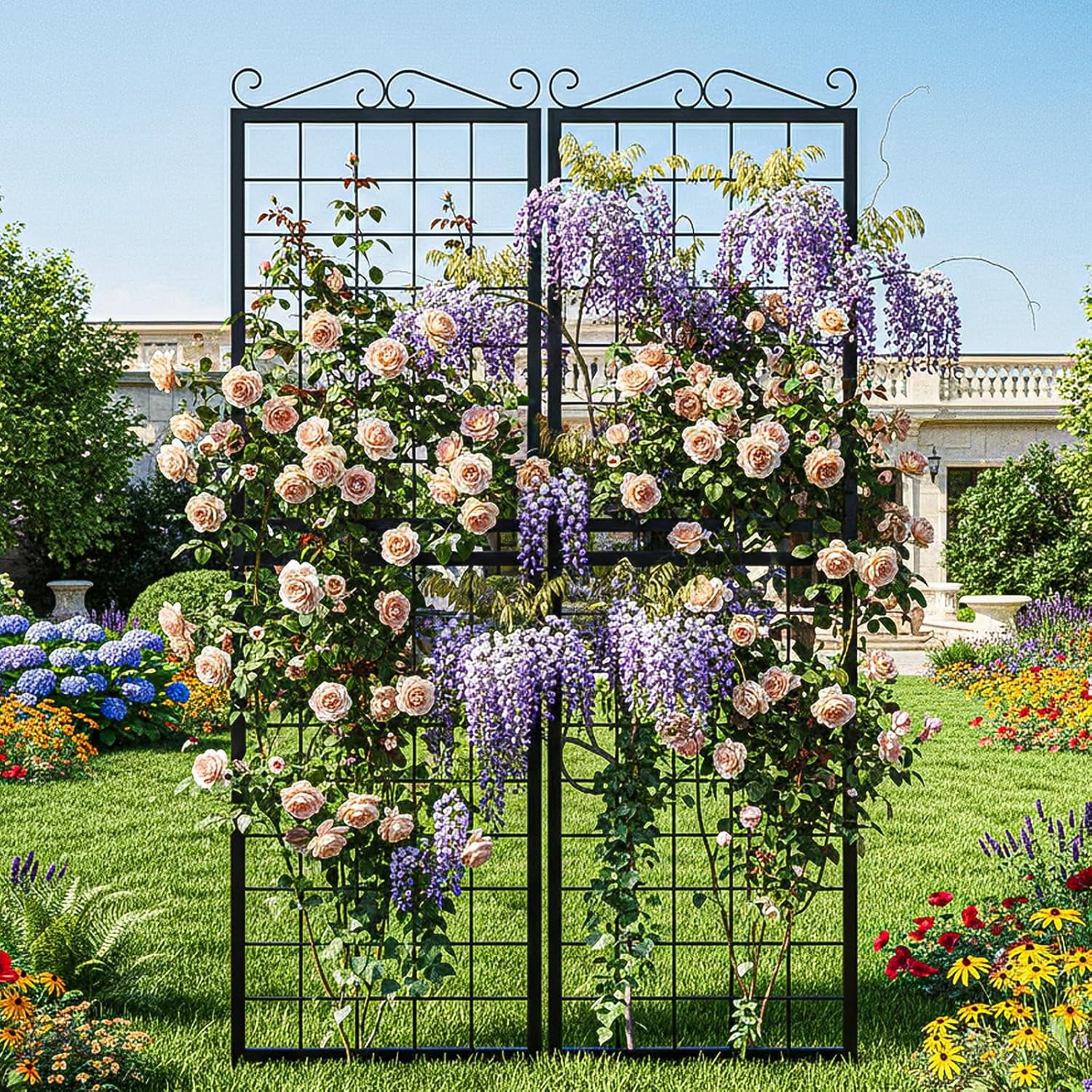 2Pack Metal Garden Trellis for Climbing Plants Outdoor, 71x20in Metal Plant Support for Flowers Tomato Cucumber Rose Vegetable Garden Courtyards Lawns Decoration, Black