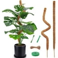 thumbnail image 1 of 2Pack Moss Pole, Bendable Moss Pole for Plants Monstera - 48 Inch Moss Poles for Climbing Plants Monstera, Plant Stakes for Indoor, Handmade Coco Coir Monstera Plant Support for Plants Grow Upward, 1 of 8