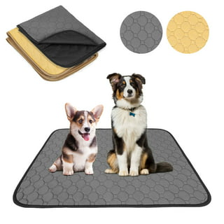 https://i5.walmartimages.com/seo/2Pack-Pet-Dog-Puppy-Training-Pads-Waterproof-Washable-Reusable-Dog-Pee-Pads_5efd1ee6-171d-4254-97ad-36aaa482f3fd.5a56119de3262fb153df1fd347d21ab9.jpeg?odnHeight=320&odnWidth=320&odnBg=FFFFFF