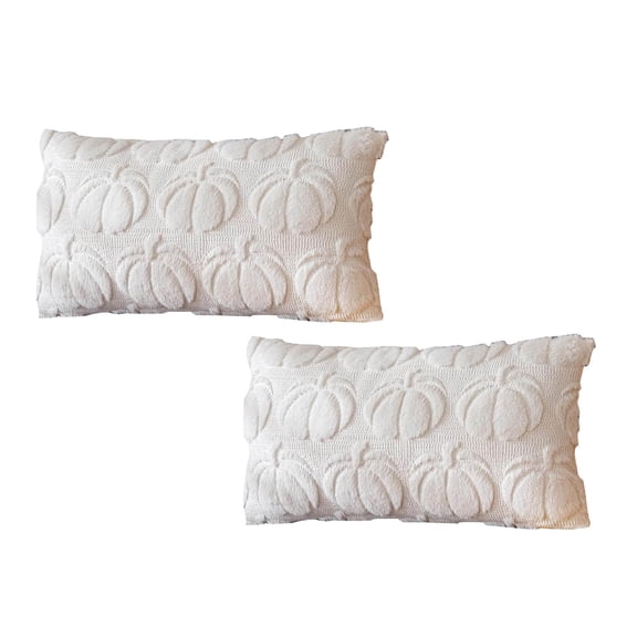 2Pack Pumpkin Fall Decorative Throw Pillow Covers Pillow Case Home Decor