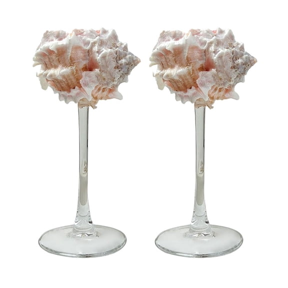 2Pack Shell Conch Wine Glass Creative Ocean themed Wine Cup Romantic Table Centerpiece Wedding Decoration Ideal Gift for Birthday