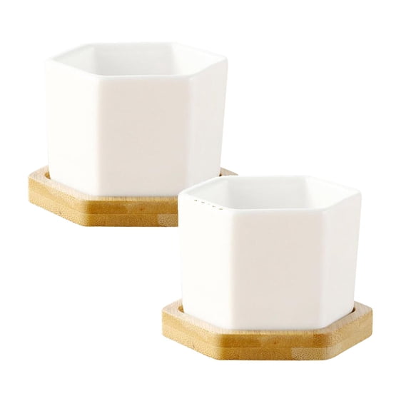 2Pack Succulent Pots White Mini Ceramic Flower Planter Pot With Tray Not Included Flower Pots Home Decor