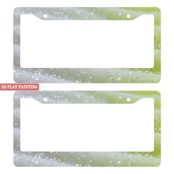 2Packs License Plate Frames with Green Glitter Gradient Pattern Includes Screws & Caps Full Accessories Included Size 6.3x12.2inch(16x31cm)