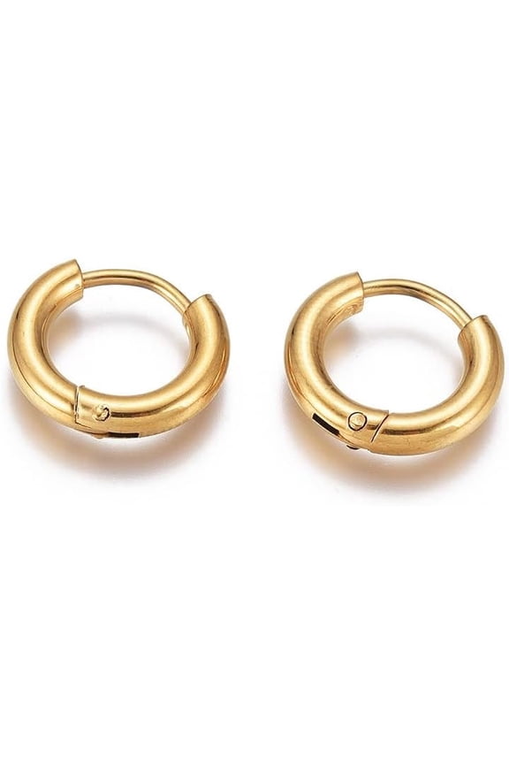 2Pairs 10 Gauge Golden 304 Stainless Steel Huggie Hoop Earring 13x2.5mm Small Huggie Hoop Earrings Tiny Hoops Earrings with 316 Stainless Steel Pin Jewelry and DIY Craft Material for Women Men