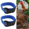 thumbnail image 1 of 2Pc Chicken Neckband Cockerel Neck Belts Noise Crow, 1 of 9