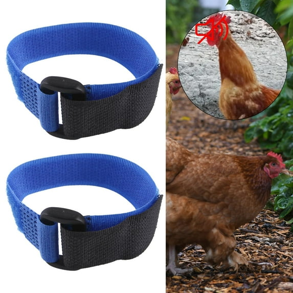 2Pc Chicken Neckband Cockerel Neck Belts Noise Crow