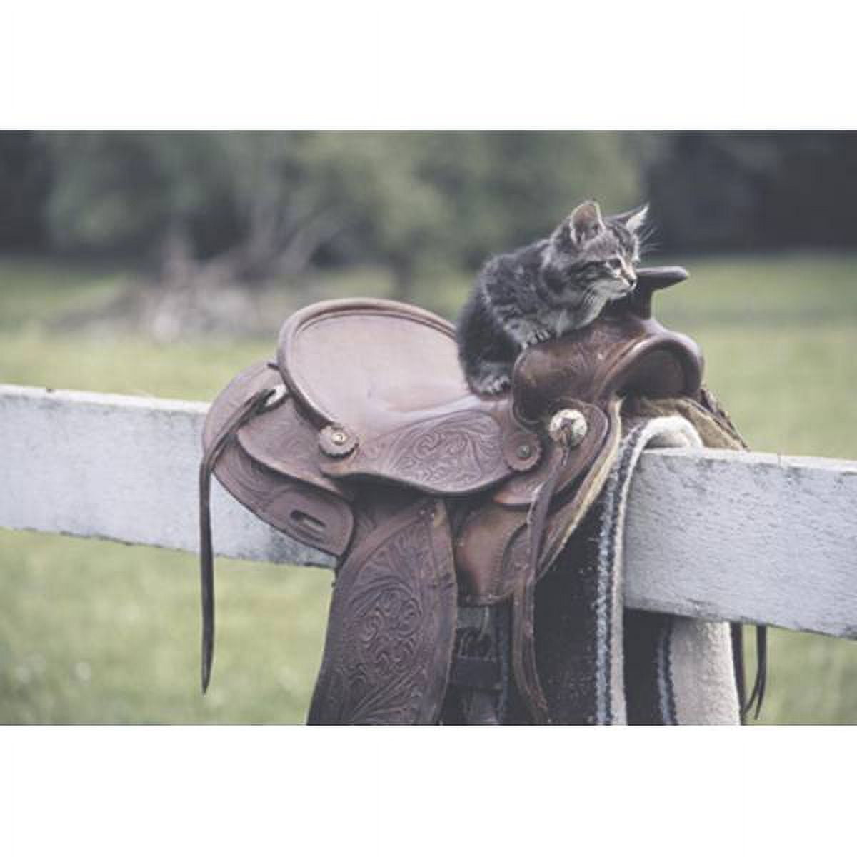 2Pc Leanin Tree Greeting Card Deluxe