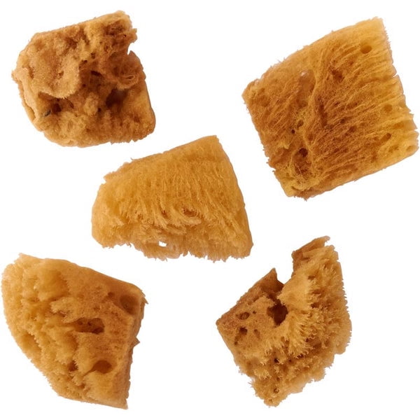 2Pc Plaid FoldArt Assorted Sea Sponge - Walmart.com