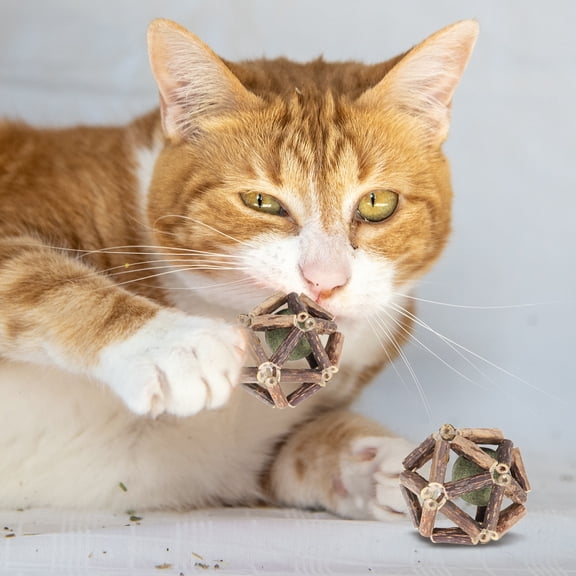 Uxcell 2Pcs 2.6" Natural Catnip Silvervine Balls Interactive Grinding Play Balls for Kittens