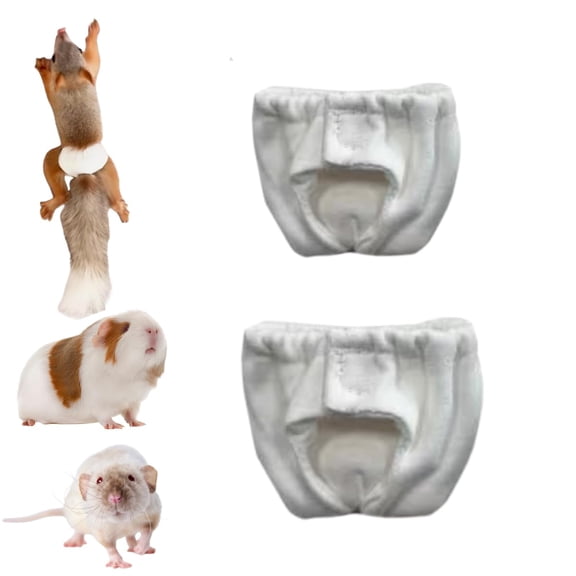 2Pcs 2 Sizes Reusable Washable Squirrel Diapers Highly Absorbent with Strong Flexible Pants No Leak Reusable Diapers Urine Wet Pants for Squirrel Fancy Rat Groundhog Guinea Pig