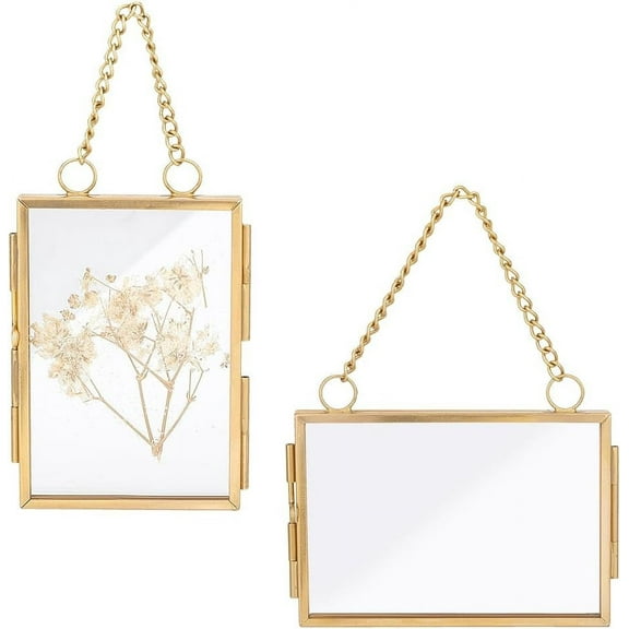 2Pcs 2 Style Brass Glass Hanging Photo Frame DIY Artwork Display Frame for Dried Plant Specimen Pressed Flowers Golden 115-130mm 1pc/style