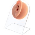 thumbnail image 1 of 2Pcs 2 Styles Silicone Ear Flexible Model Body Part Displays Earring Display Holder with Plastic Stands Mixed Color Stand: 12x5.2x9.8cm Silicone Ear: 5.9x3.8x3.1cm 1pc/style about 3pcs/set, 1 of 9