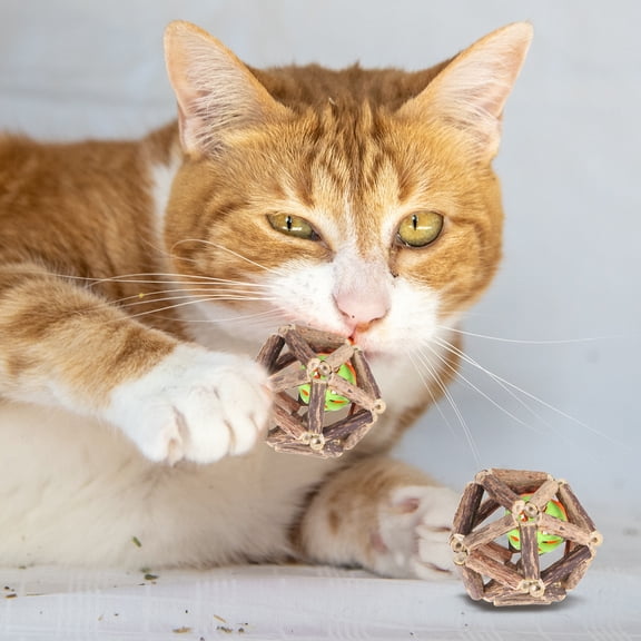 2Pcs 3" Universal Cat Plastic Balls Natural Silvervine Stick Cage Ball