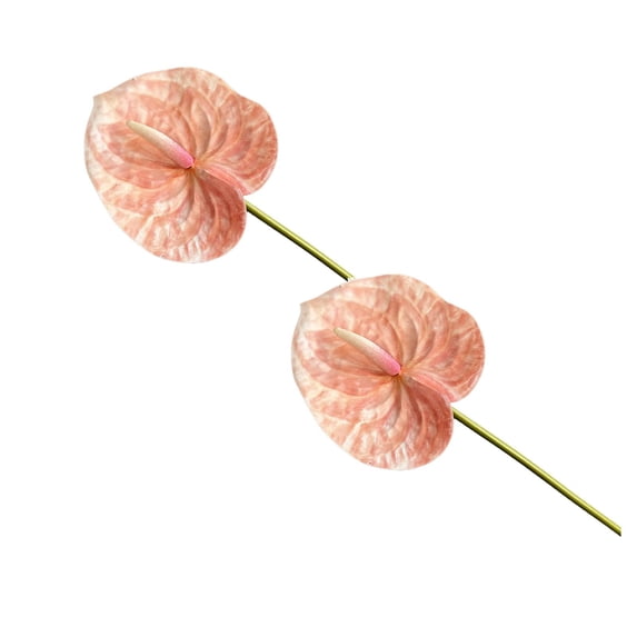 2Pcs Artificial Anthurium Flower Branch 22.4" 3D Printing Effect Real Touch Single Stem per Piece Anthurium for Home Table Floral Decoration