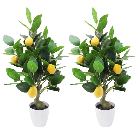 2Pcs Artificial Potted Plants 20 Inch Fake Lemon Tree, Artificial Lemons Citrus Tree with White Pot, Faux Lemons Indoor for Office Table Desk Home Living Room Kitchen Decor