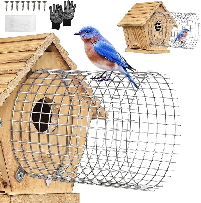 How Big Should the Hole Be on a Bluebird House: Expert Guide