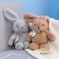 thumbnail image 1 of 2Pcs Bunny Stuffed Animal In Bulk, 9.8 inches Cute Rabbit Plush, Bunnies Plushies, Soft Easter Bunny Plush Toy For Kids Fluffy Hugging Sleeping Gifts #01 2PCS (Gray & Brown), 1 of 4