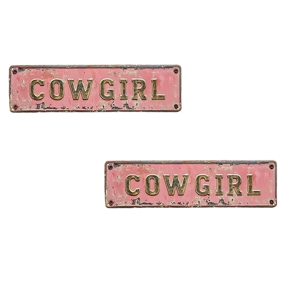 2Pcs Cowgirl Metal Sign Rustic Western Plaque for Bedroom Bar Living Room Home Farmhouse Garage Kitchen Decor 2.95X7.87In Home Decor Happy 2026!