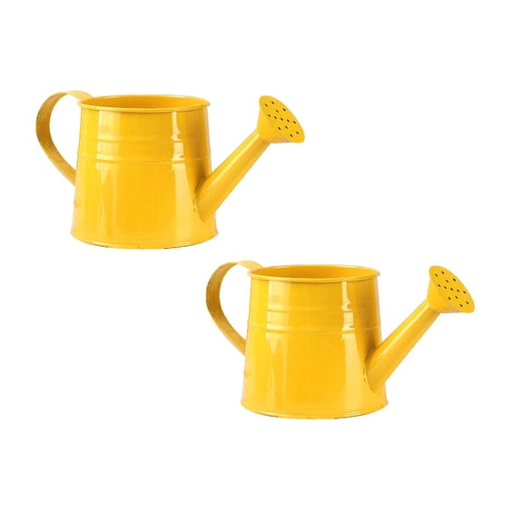2Pcs Deal Countdown! Galvanized Shower Bucket Tinplate Watering Kettle Small Flower Pot Flower Pot Watering Cans Practical Home Decor