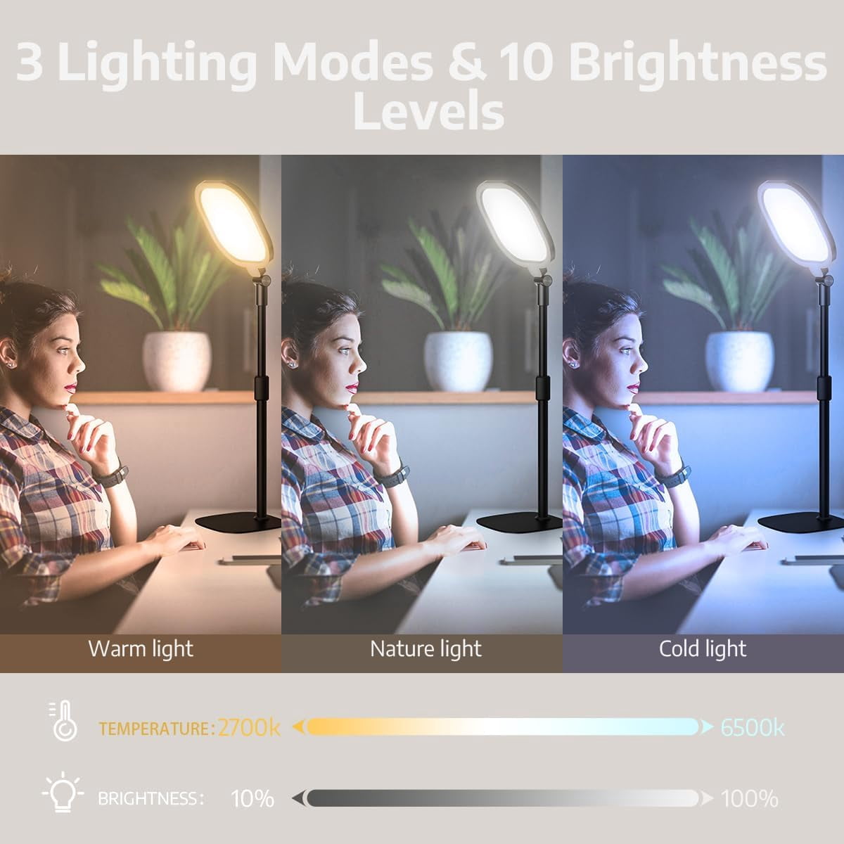2Pcs Desktop Video Conference Lighting for  Meeting, Computer, Laptop, Work from Home with Nature Soft Light, Adjustable Brightness & Color Temp and Flexible Stand & Versatile Phone Holder