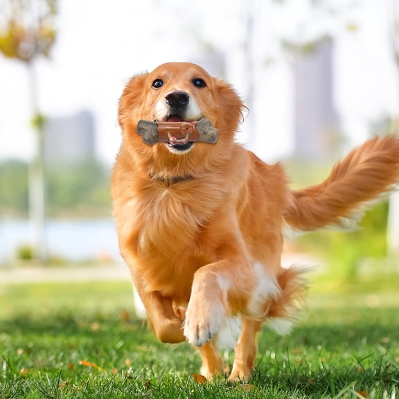 2Pcs Dog Chew Branch Bone Toy for Aggressive Chewers Easy Cleaning Hardly Squeaky Dog Teething Branch Bone Toy for Indoor Outdoor