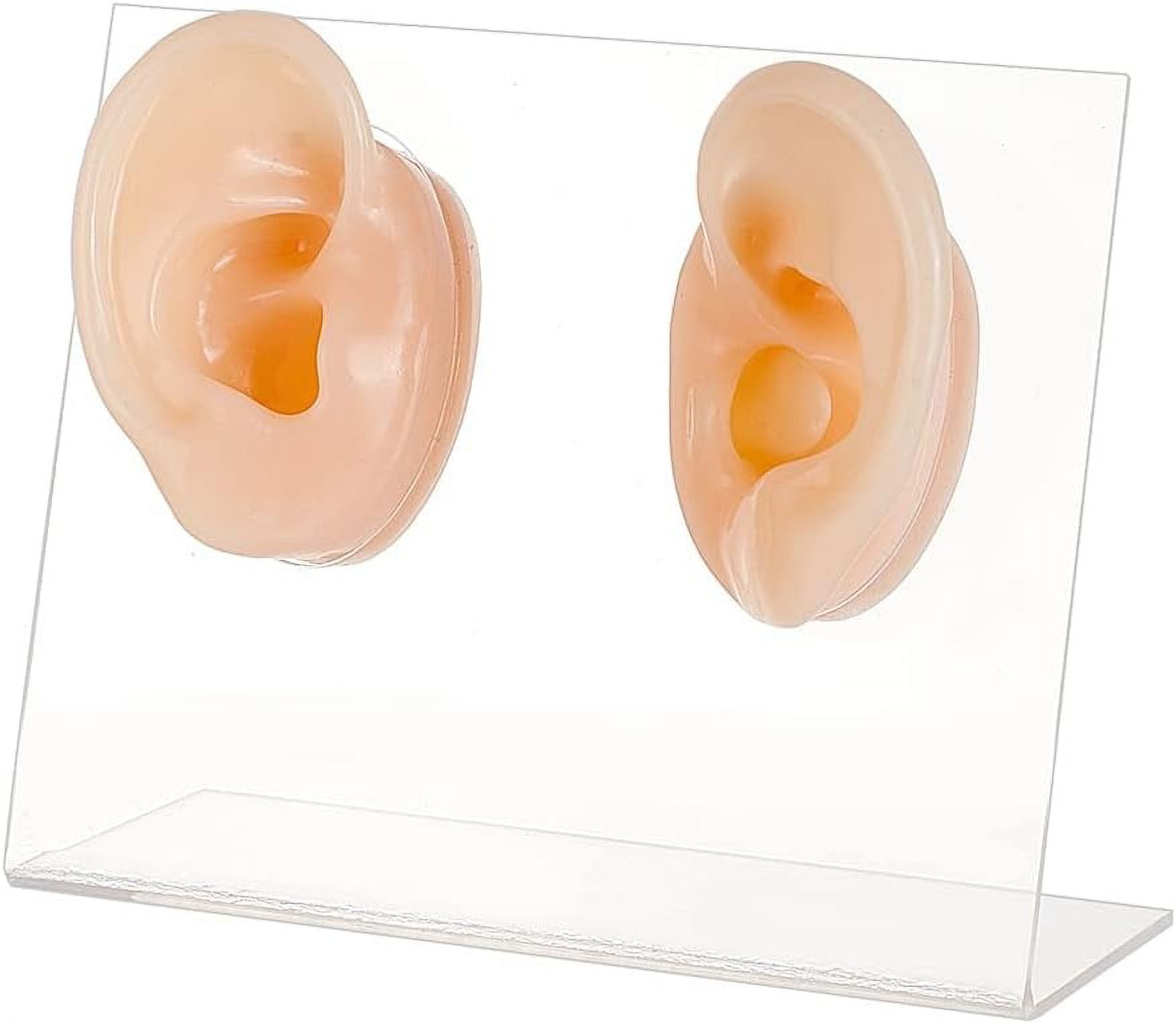 2Pcs Ear Displays Model Silicone Ear Model Rubber Ear Silicone Flexible ...