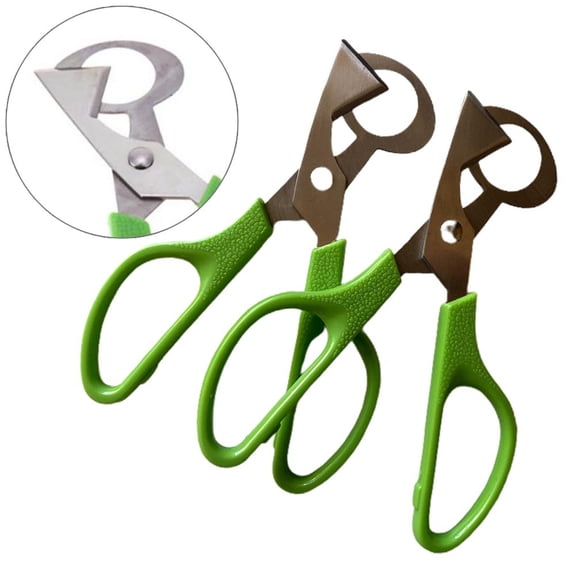 2Pcs Eggshell Cutter Quail Egg Scissors Stainless Steel Egg Scissors