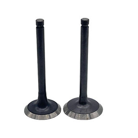 2Pcs Exhaust Valve For Ex17 And Ex21