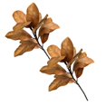 thumbnail image 1 of 2Pcs Magnolia Branches Magnolia Leaves Magnolia Leaves Picks Realistic Magnolia Leaves Twigs Greenery Magnolia for Home Table Vase Indoor Outdoor Artificial Flowers Happy 2026!, 1 of 5