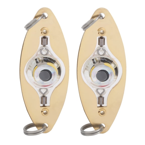 2Pcs Fishing LED Lure Light Eye Shape Colorful Flashing Light Bait Underwater Lure Lamp
