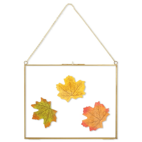 2Pcs Floating Picture Frame for Pressed Flower Horizontal or Vertical Hanging Frame Double Clear Glass Floating Photo Frame with Metal Chain for Artwork Display