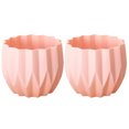 2Pcs Flower Pot Eyecatching Shatterproof Plastic Decorative Succulent