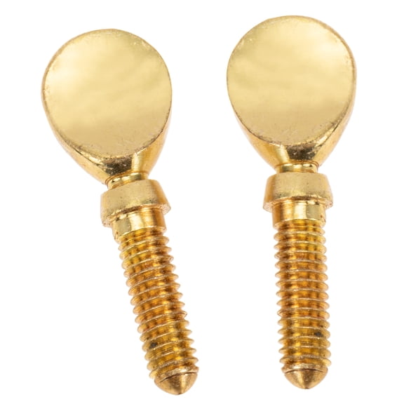 2Pcs Flute Head Screws Flute Repairs Parts Flute Accessories Flute Parts
