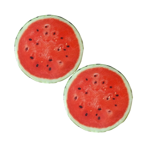 2Pcs Fruit Pillow 15.35X15.35X2.76 Inch Fruit Slice Round Throw Pillows with Sponge Stuffed Floor Cushion for Home Camping Tent Cushion Easy to Use Happy 2026!