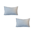 thumbnail image 1 of 2Pcs Gingham Pillowcases Standard Size Pillow Plaid Pillowcases, Grid Checkered Gingham Washed Cotton Pillow Covers with Envelope Closure, Soft & Durable (29''x19'',Blue), 1 of 6