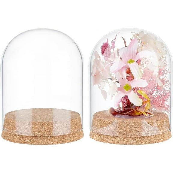 2Pcs Glass Display Dome Cloche 4.2x3.2 Inch Bell Jar With Cork Base Display Case for Flower Specimens Home Decor DIY Inner Diameter: 3 Inch diy