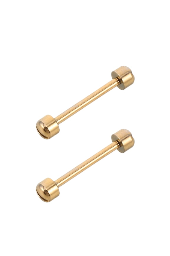 2Pcs Golden Watch Bracelet Screw Pins for Ceramic Band Replacement and Repair