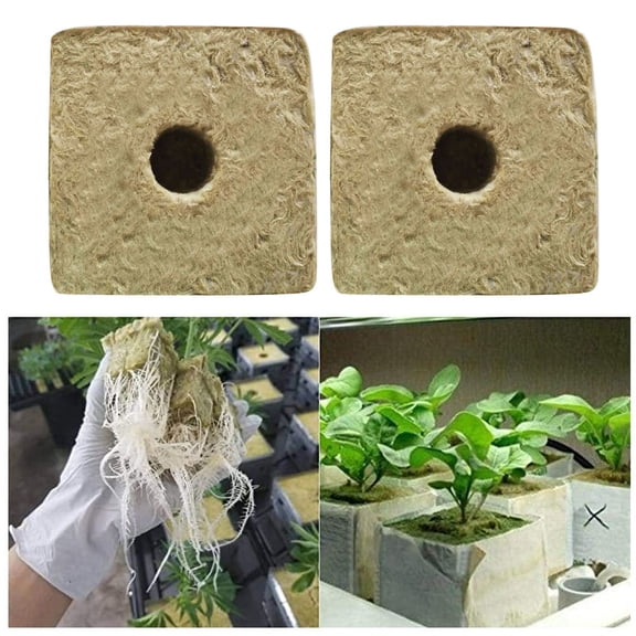 2Pcs Grow Cubes, Starter Plugs for Soilless Cultivation, Seedlings Cuttings, Clone Plants, Hydroponics Germination Start