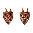 thumbnail image 1 of 2Pcs Halloween Dog Bandana with Plaid Pumpkin Scarf for Small Medium Dogs and Cats, Adjustable Breathable Polyester Accessory for Holiday Party Photo Prop and Trick or Treat Outing, 1 of 4