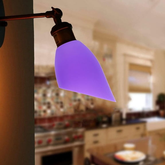 2Pcs Horseshoe Lampshade Covers for Led Floor and Table Lamps Inclined Head Design Plastic Lamp Shades 5.11X4.33X1.96In Light Diffuser Guard for Home Decor