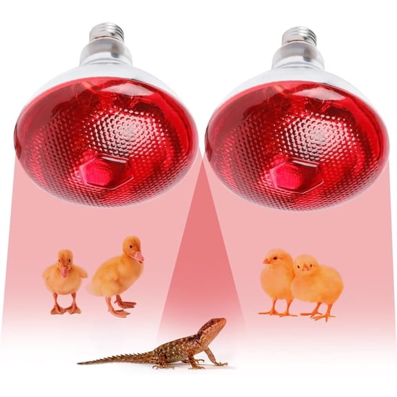 2Pcs Infrared Heat Lamp Bulb, 250W Infrared Reptile Heat Lamp Bulb, Infrared Glass Bulb, Waterproof Basking Spot Red Heat Light For Poultry Chicks Puppy Cats Pigs Lizard Tortoise Bearded Dragon