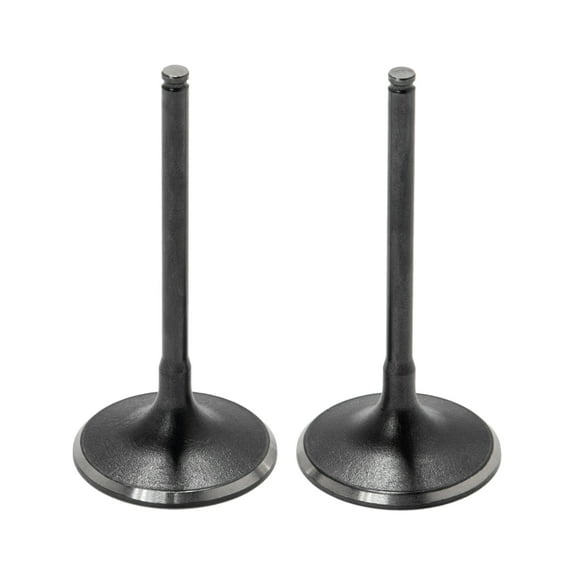 2Pcs Intake Valves Kit for Honda CRF450R CRF450 RX 17-20 CRF450X 19 20