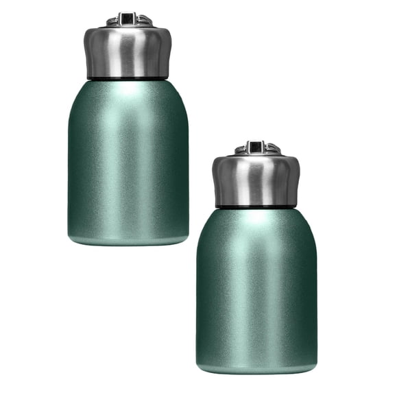 2Pcs Mini Water Bottle Small Water Bottle 300Ml Stainless Steel Small Flask Vacuum Insulated Thermal Cup Leak Proof Portable Mini With Hook Green Glass&Bottle Practical Home Decor