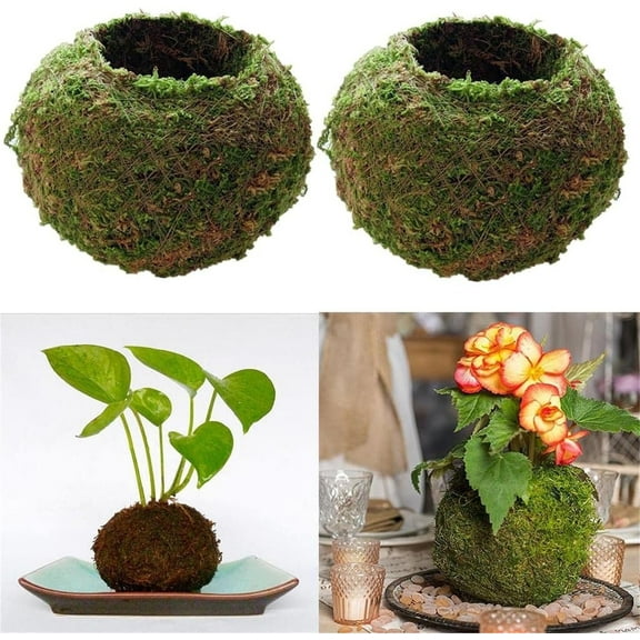 2Pcs Natural Planter Weave Moss Ball,Garden Decor,Flower Holder Pot,Garden Plant Potted,Hydrating Flowerpot