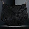 2Pcs New Women Breathable Panties Sexy Lace Mesh Hollow Silk Knickers