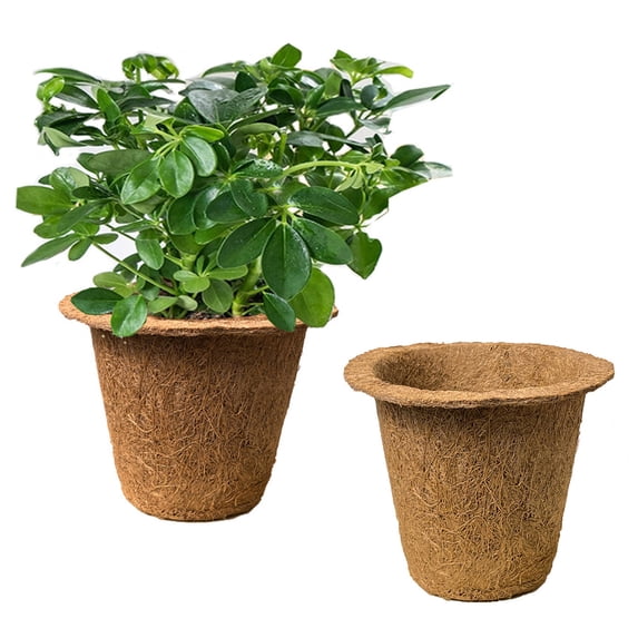 2Pcs Nursery Pots – Biodegradable Peat Pots for Seed Starter and Seedling Kit - Mini Planter Cups for Indoor, Outdoor – Ideal for Organic Planting