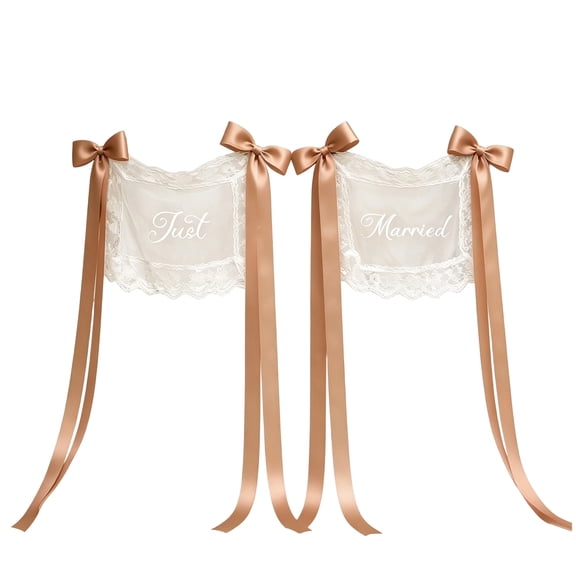 2Pcs Personalized Sheer Lace Wedding Chair Signs, Custom Just Married Lace Sweetheart Table Decor Photo-Ready Decor Banner For Bride And Groom, Mr & Mrs Chair Cover For Wedding Ceremony Reception