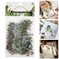 thumbnail image 1 of 2Pcs Plant Natural PET Flower Stickers Pack - Botanical & Nature Scrapbook Stickers for DIY Planner, Diary Journaling & Student Crafts,Retro Clear Adhesive Decals, 1 of 4